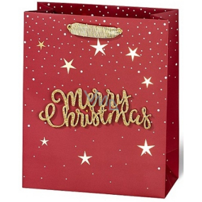 BSB Luxusní dárková papírová taška 23 x 19 x 9 cm Vánoční s 3D nápisem Merry Christmas VDT 004-A5