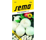 Semo Cibule kuchyňská jarní bílá Agostana 1 g