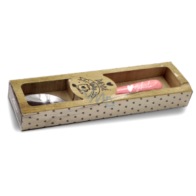 Nekupto Original Lžička se jménem Gabriela 14 cm