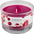 Bolsius Aromatic Wild Cranberry - Divoká Brusinka vonná svíčka ve skle 90 x 65 mm 247 g doba hoření cca 30 hodin