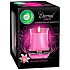 Air Wick Eternal Scents Růžové květy středomoří vonná svíčka ve skle 130 g