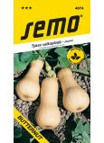 Semo Tykev Butternut muškátová plazivá 2 g