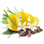 Apotheke Natur Citronela a kardamon bylinný čaj 20 nálevových sáčků x 2 g