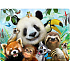 Prime3D magnet - Zoo Selfie 9 x 7 cm