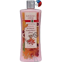 Bohemia Gifts Castanum Extrakt z kaštanu koňského regenerační koupelová pěna 500ml