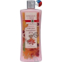 Bohemia Gifts Castanum Extrakt z kaštanu koňského regenerační koupelová pěna 500ml