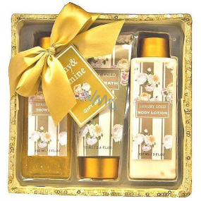 Salsa Collection Luxury Gold Pivoňka a Jasmín sprchový gel 170 ml + tělové mléko 170 ml + pěna do koupele 150 ml + flitrový box, kosmetická sada