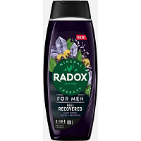 Radox Men Feel Recovered 2v1 sprchový gel a šampon pro muže 450 ml