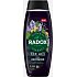 Radox Men Feel Recovered 2v1 sprchový gel a šampon pro muže 450 ml
