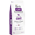 Brit Care Grain-free Losos + brambor bezobilné krmivo pro dospělé psy obřích plemen 12 kg