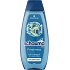 Schauma šampon Men 3v1 mořské minerály a aloe vera, 400 ml