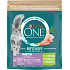 Purina ONE Bifensis Sensitive granule pro kočky krůta a rýže, 750 g