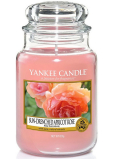 Yankee Candle Sun Drenched Apricot Rose - Vyšisovaná meruňková růže vonná svíčka Classic velká sklo 623 g