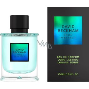 David Beckham True Instinct parfémovaná voda pro muže 75 ml