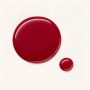 Catrice ICONails Gel Lacque lak na nehty 169 Raspberry Pie 10,5 ml