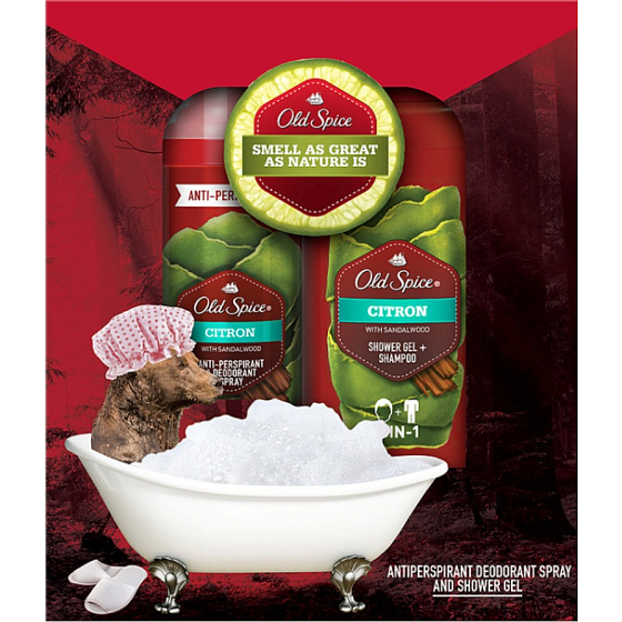 Old Spice Citron with Sandalwood 2v1 šampon a sprchový gel pro muže 250 ml + deodorant sprej 125 ml, kosmetická sada