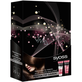 Syoss Supreme Revive šampon 250 ml + vlasový kondicionér 250 ml, kosmetická sada