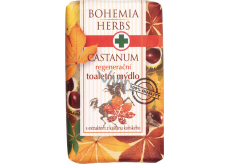 Bohemia Gifts Castanum Extrakt z kaštanu koňského regenerační toaletní mýdlo 100 g