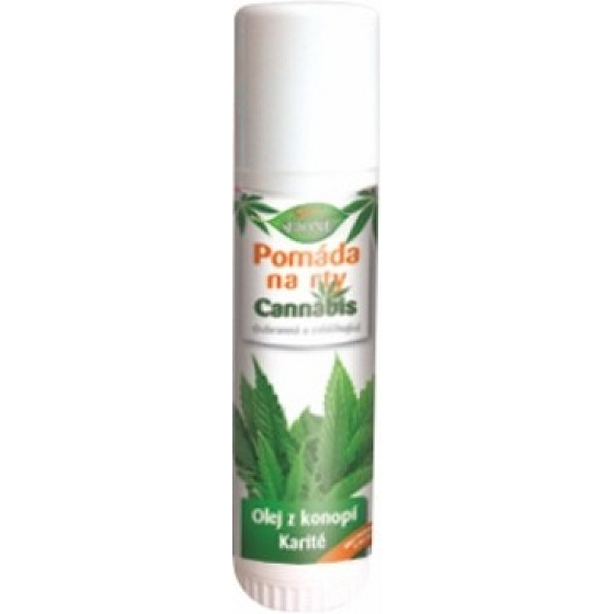 Bione Cosmetics Cannabis pomáda na rty 5 ml