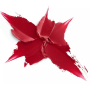 Catrice Shine Bomb rtěnka 090 Queen of Hearts 3,5 g