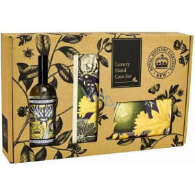 English Soap Narcissus Lime - Narcis a Limetka přírodní parfémované toaletní mýdlo s bambuckým máslem 240 g + krém na ruce 75 ml + dezinfekce na ruce 100 ml, kosmetická sada pro ženy