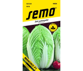 Semo Zelí pekingské Manoko F1 hybrid 40 semen