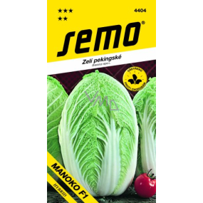 Semo Zelí pekingské Manoko F1 hybrid 40 semen