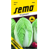 Semo Zelí pekingské Manoko F1 hybrid 40 semen