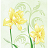 Ditipo Papírové ubrousky 3 vrstvé 33 x 33 cm 20 kusů Velikonoční Narcisy