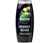 Radox Men 3v1 Relaxace Ostružina a zázvor sprchový gel pro muže 225 ml