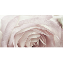 Millefiori Milano Zona Rose Madelaine - Růže Madelaine Difuzér 100 ml + 7 stébel v délce 25 cm vhodná do menších prostor vydrží 5-6 týdnů
