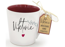 Nekupto Original Hrnek se jménem Viktorie 300 ml
