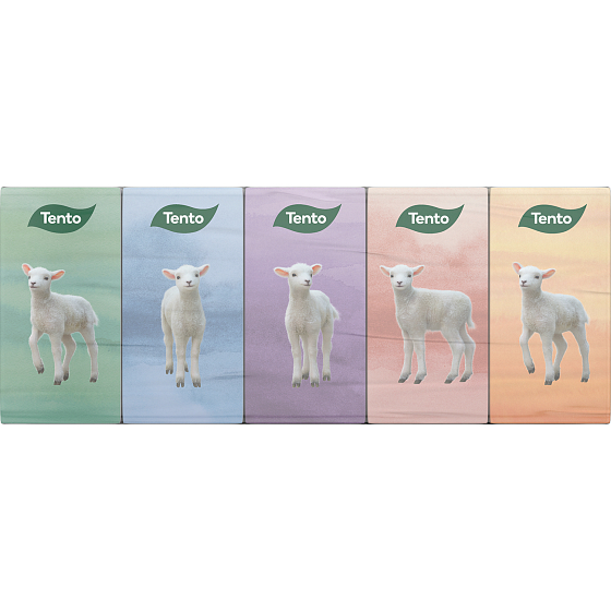 Tento Chic&Style hygienické kapesníky 3 vrstvé 10 kusů