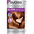 Syoss Gloss Sensation Šetrná barva na vlasy bez amoniaku 7-76 Meruňkově měděný 115 ml