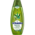 Schauma Nature Moments Středomořský olivový olej a Aloe Vera regenerační proti třepení konečků šampon na vlasy 250 ml