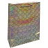 Nekupto Dárková papírová taška hologram 33 x 46 cm Stříbrná standard