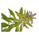 Le Chatelard Verbena a Citron difuzér 100 ml