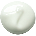 Payot Pate Grise Jour denní zmatňující nemastný purifikační gel 50 ml