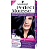 Perfect Mousse Permanent Color barva na vlasy 210 Ledový černý