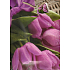 Nekupto Dárková papírová taška 32,5 x 26 x 13 cm tulipány 1305 40 KFL