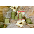 Lima Wellness Borový les aroma svíčka válec 60 x 90 mm 1 kus