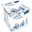 Big Soft Winter papírové kapesníky bílé 2 vrstvé 75 kusů