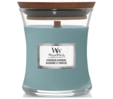 WoodWick Evergreen Cashmere - Kašmír a lesní jehličnany vonná svíčka s dřevěným knotem a víčkem sklo malá 85 g