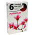 Tea Lights Magnolia vonné čajové svíčky 6 kusů