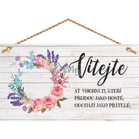 Bohemia Gifts Dekorační obraz na zavěšení Vítejte 13 x 24 cm