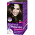 Schwarzkopf Perfect Mousse Permanent Foam Color barva na vlasy 400 Ledové Espresso