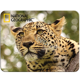 Prime3D magnet - Leopard 9 x 7 cm