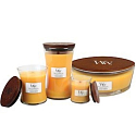 WoodWick Seaside Mimosa - Mimóza na pobřeží vonná svíčka s dřevěným knotem petite 31 g