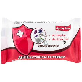 Doctor Wipes Spring Line Antibacterial vlhčené antibakteriální ubrousky 15 kusů