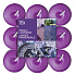 Bolsius Aromatic French Lavender - Francouzská Levandule vonné čajové svíčky 18 kusů, doba hoření 4 hodiny